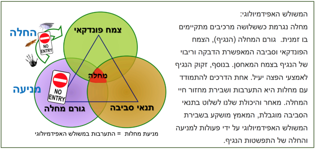 המשולש האפידמיולוגי